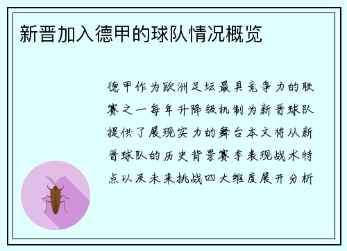新晋加入德甲的球队情况概览