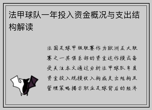 法甲球队一年投入资金概况与支出结构解读