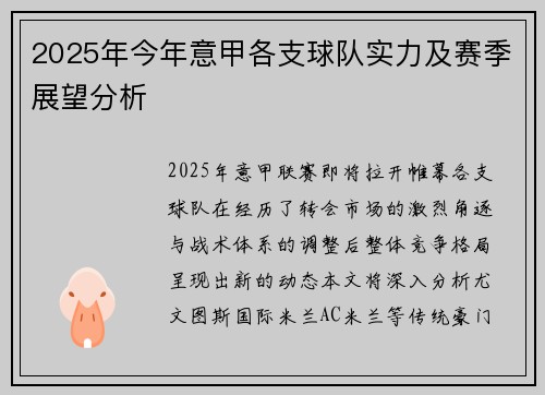 2025年今年意甲各支球队实力及赛季展望分析