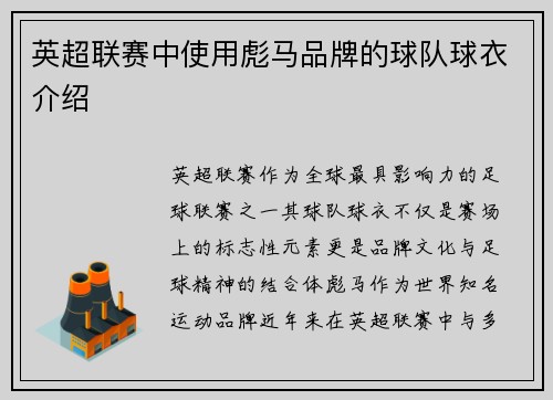 英超联赛中使用彪马品牌的球队球衣介绍